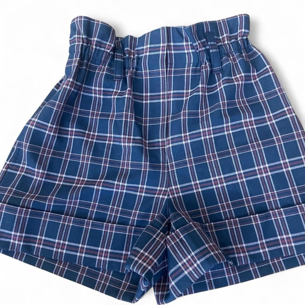 Aritzia Shorts